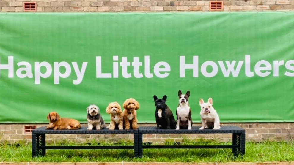 Happy Little Howlers | 23a Luland St, Botany NSW 2019, Australia | Phone: 0452 661 046