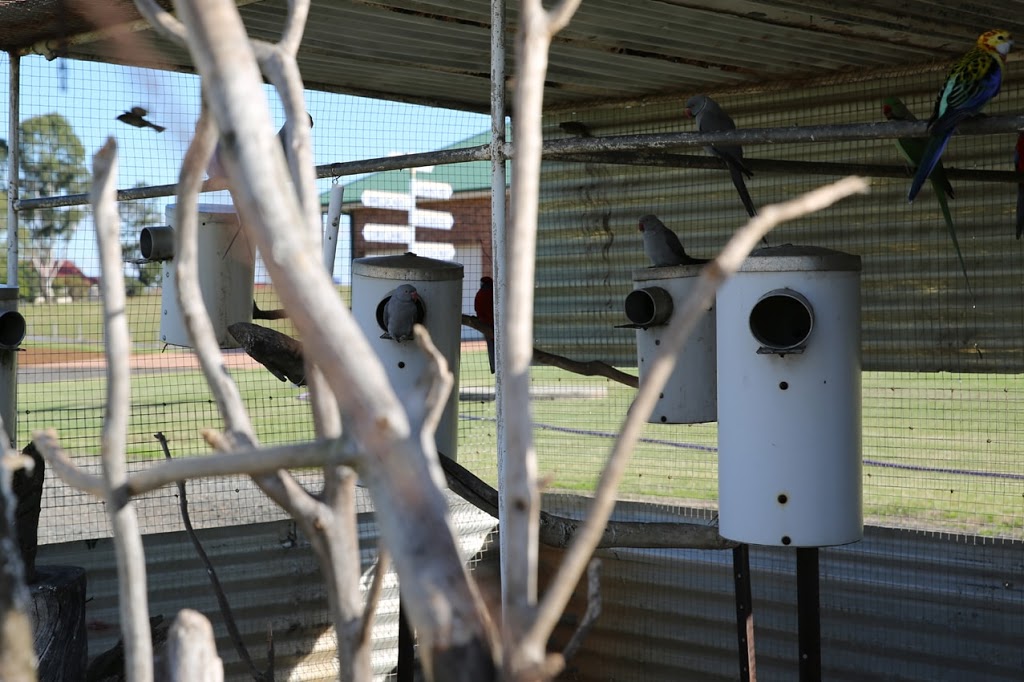 J and N Galea PVC Nest Boxes | 253-269 Horsley Rd, Horsley Park NSW 2175, Australia | Phone: 0411 209 748