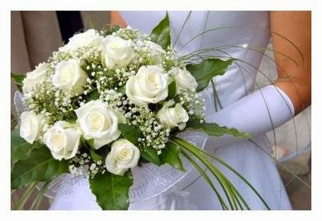 Redcliffe North Lakes and Bribie Island Wedding Celebrants | 1 Nambour Ct, Deception Bay QLD 4508, Australia | Phone: 0438 737 226