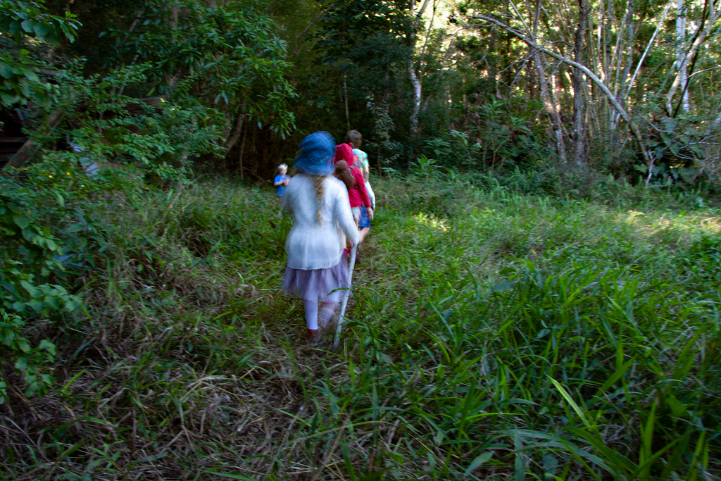 Earth Tribe Forest School |  | 1033 Cedar Pocket Rd, Cedar Pocket QLD 4570, Australia | 0416588011 OR +61 416 588 011