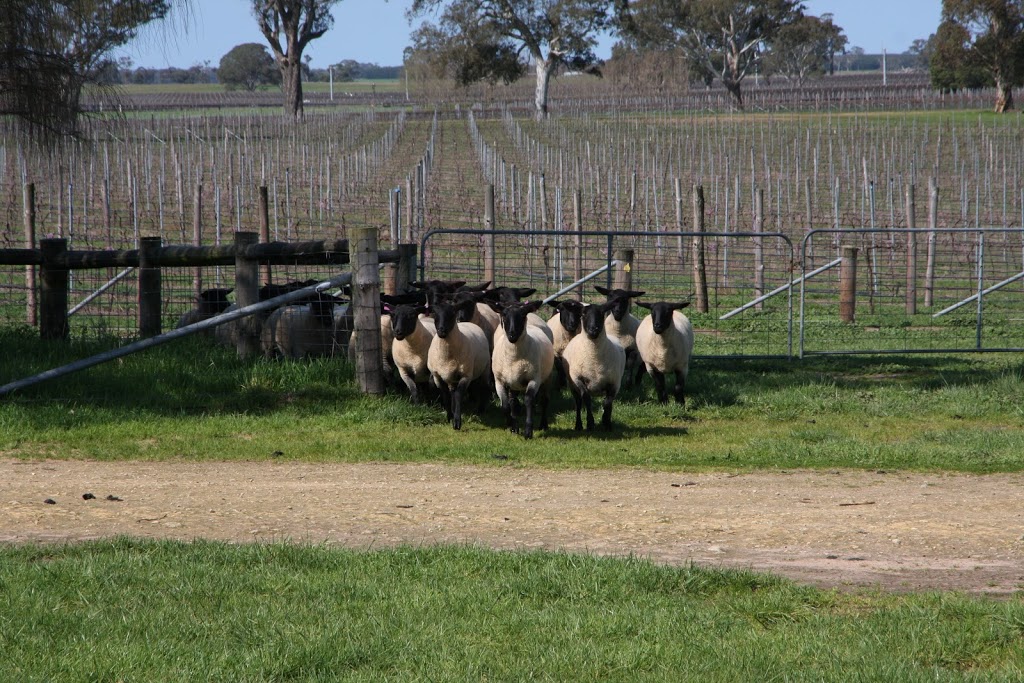 Eight at the Gate Wines | 980 Wrattonbully Rd, Wrattonbully SA 5271, Australia | Phone: 0400 843 126