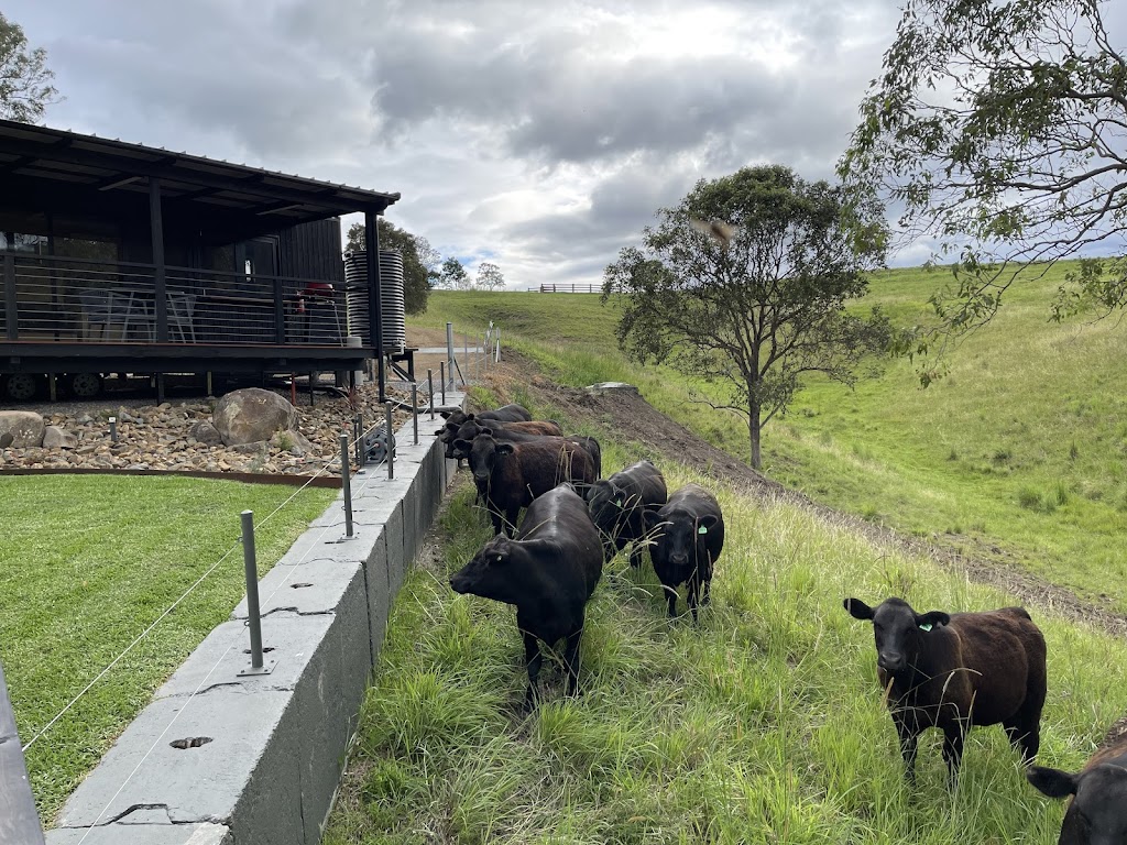 Banool Tiny House | 82 Manchester Rd, Bindera NSW 2422, Australia | Phone: 0418 234 122