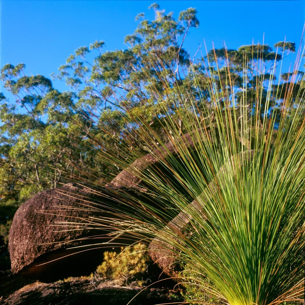 Wetland & Wildlife Creations | 317 Bungower Rd, Moorooduc VIC 3933, Australia | Phone: 1300 992 992