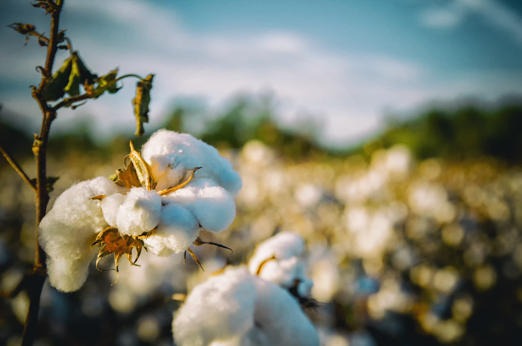 Riverina Sustainable Fertilisers | 1578 Cadell Rd, Gala Vale NSW 2716, Australia | Phone: 0428 133 027