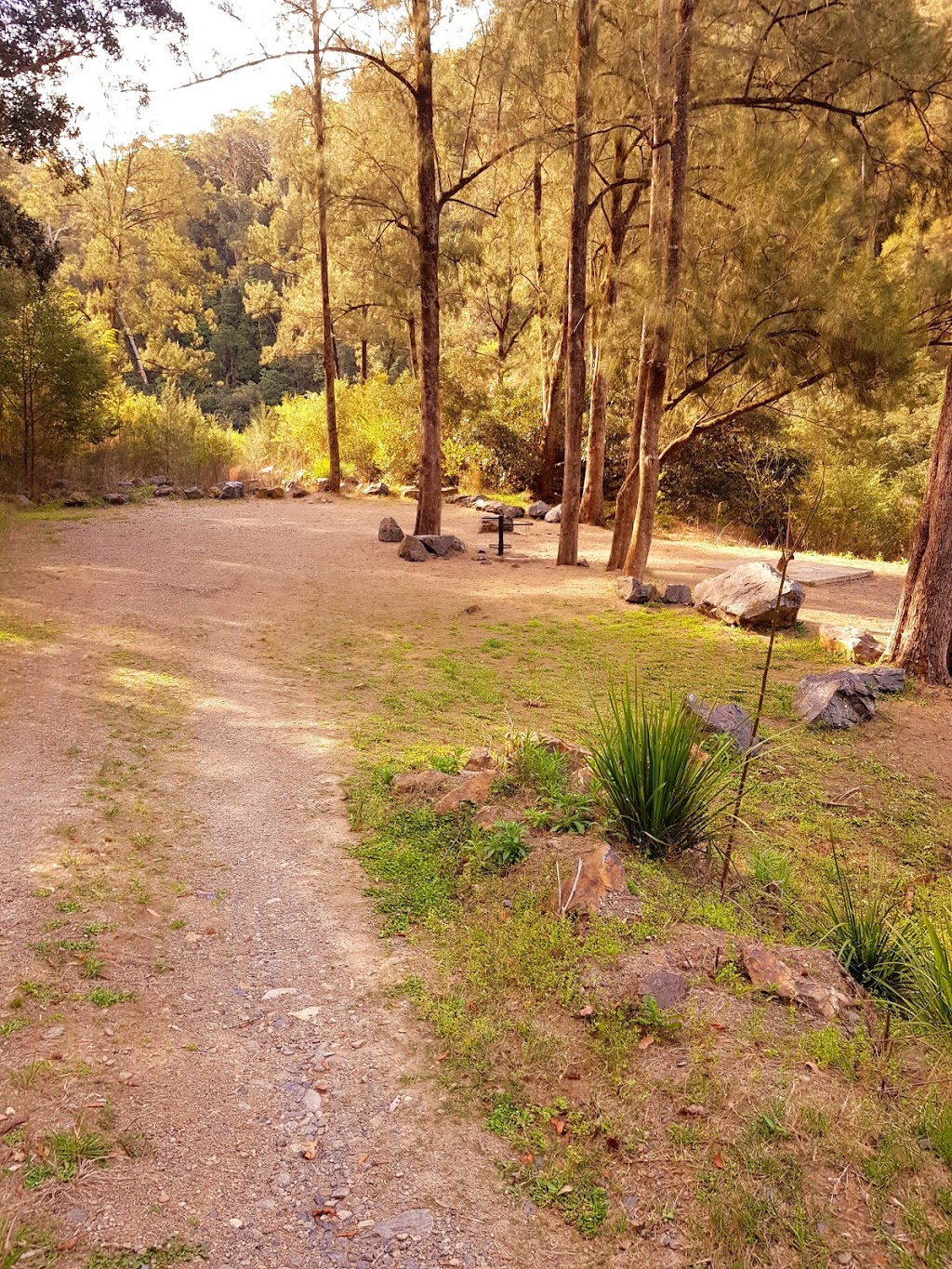 Cod Hole campground and picnic area | campground | Cod Hole Road, Wild Cattle Creek NSW 2453, Australia | 0266572309 OR +61 2 6657 2309