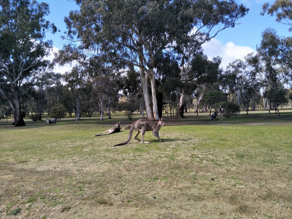 Bendigo Golf Club |  | Golf Course Rd, Epsom VIC 3551, Australia | 0354484878 OR +61 3 5448 4878