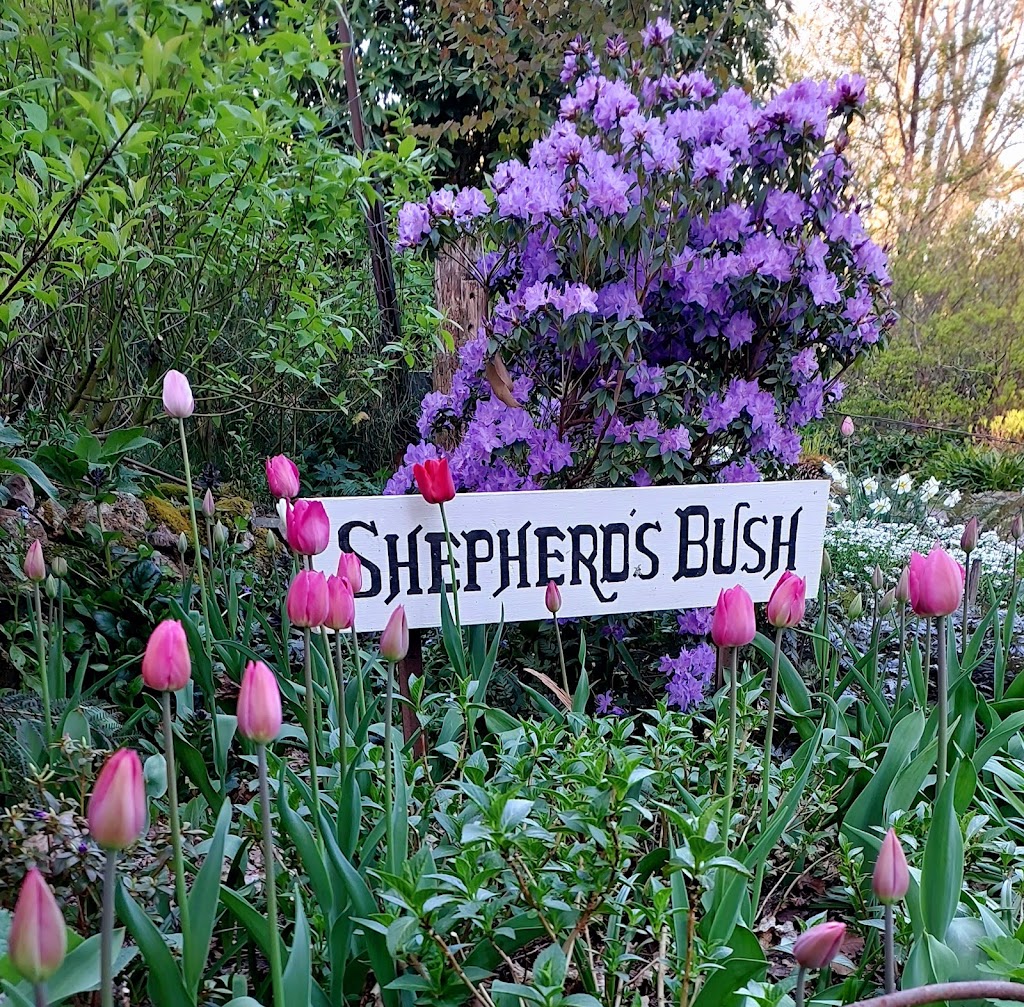 Shepherds Bush Garden | 982 Mount Macedon Rd, Mount Macedon VIC 3441, Australia | Phone: 0400 917 935