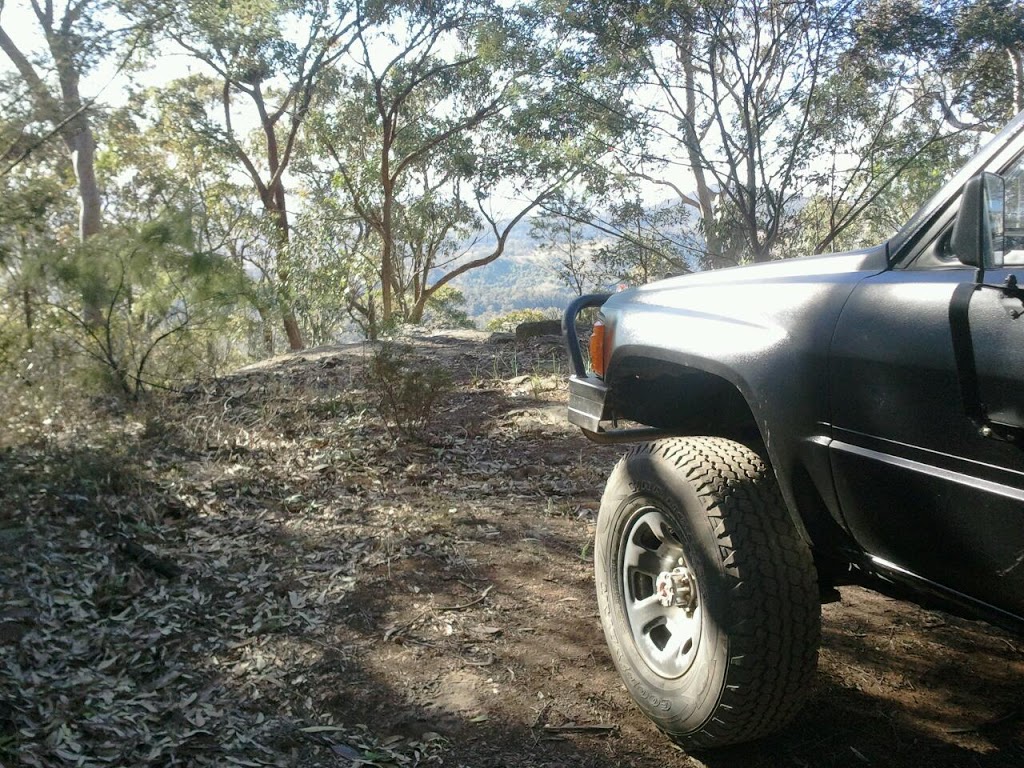 Pokolbin State Forest | Cedar Creek NSW 2325, Australia