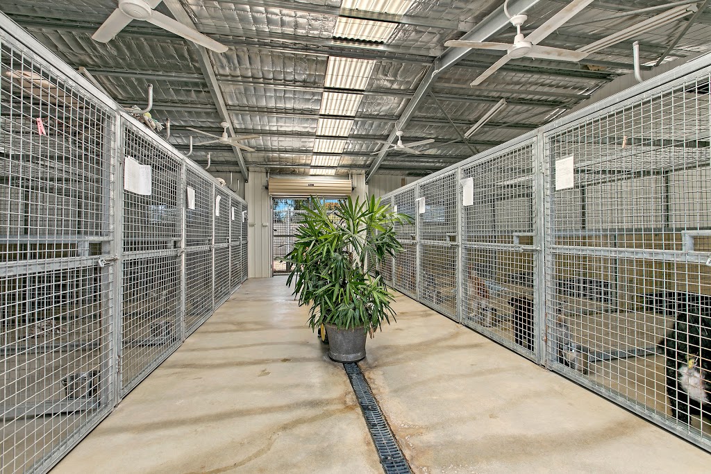 Penfield Boarding Kennels & Cattery | veterinary care | 295 Penfield Rd, Adelaide SA 5120, Australia | 0883809415 OR +61 8 8380 9415