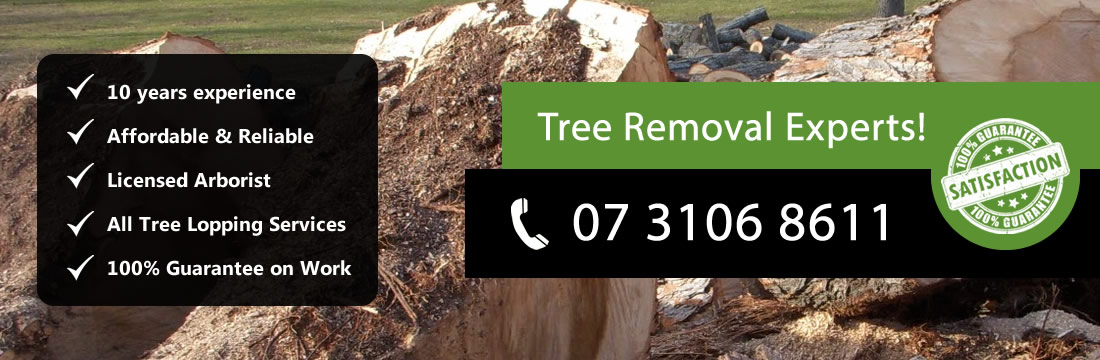 Pro Tree Removal Brisbane | 73/20 Donkin St, West End QLD 4101, Australia | Phone: 07 3106 8611