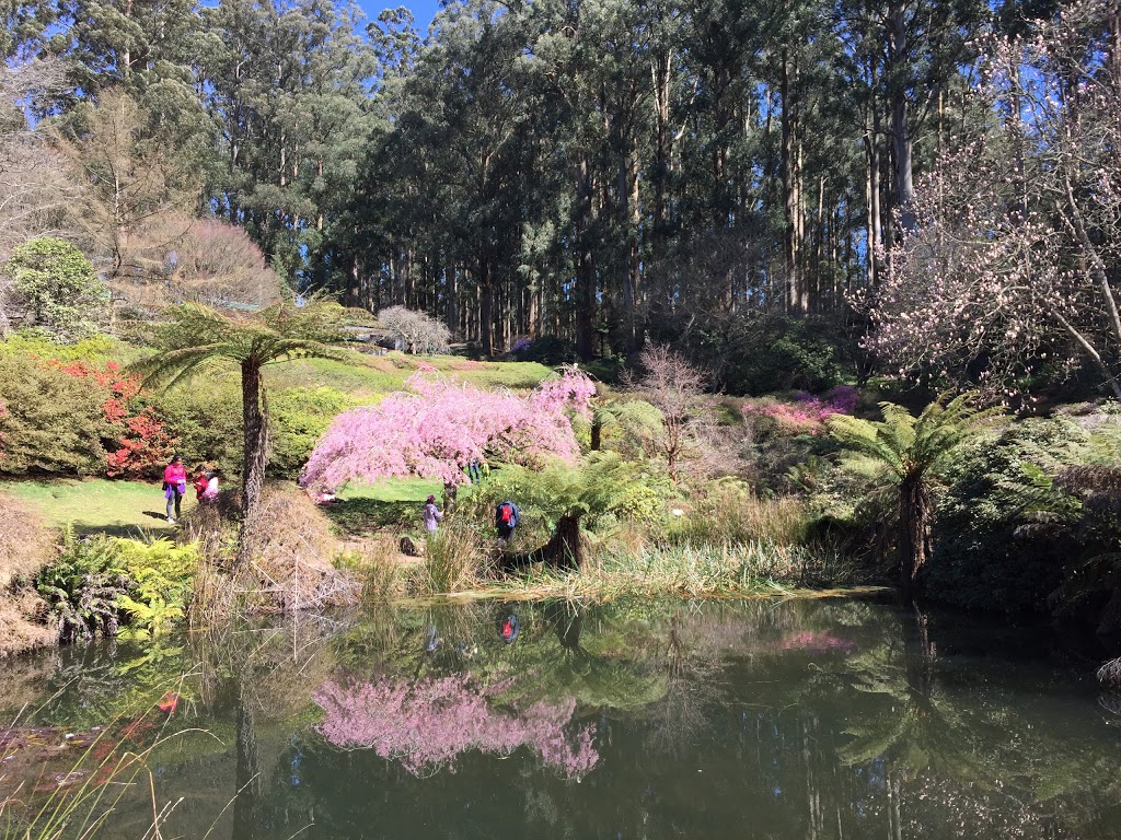 National Rhododendron Garden | park | Olinda VIC 3788, Australia