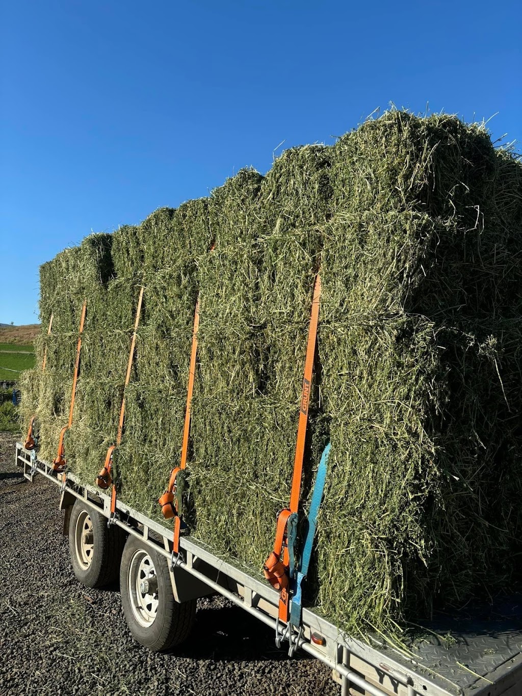 Last Straw Hay Sales | 396 E Haldon Rd, East Haldon QLD 4343, Australia | Phone: 0478 092 561