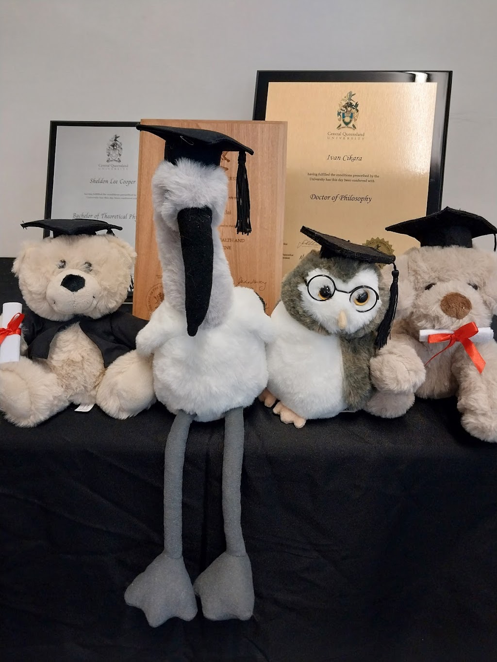 Lazertek Australia | 11 Morobe St, Highfields QLD 4352, Australia | Phone: 0419 642 742