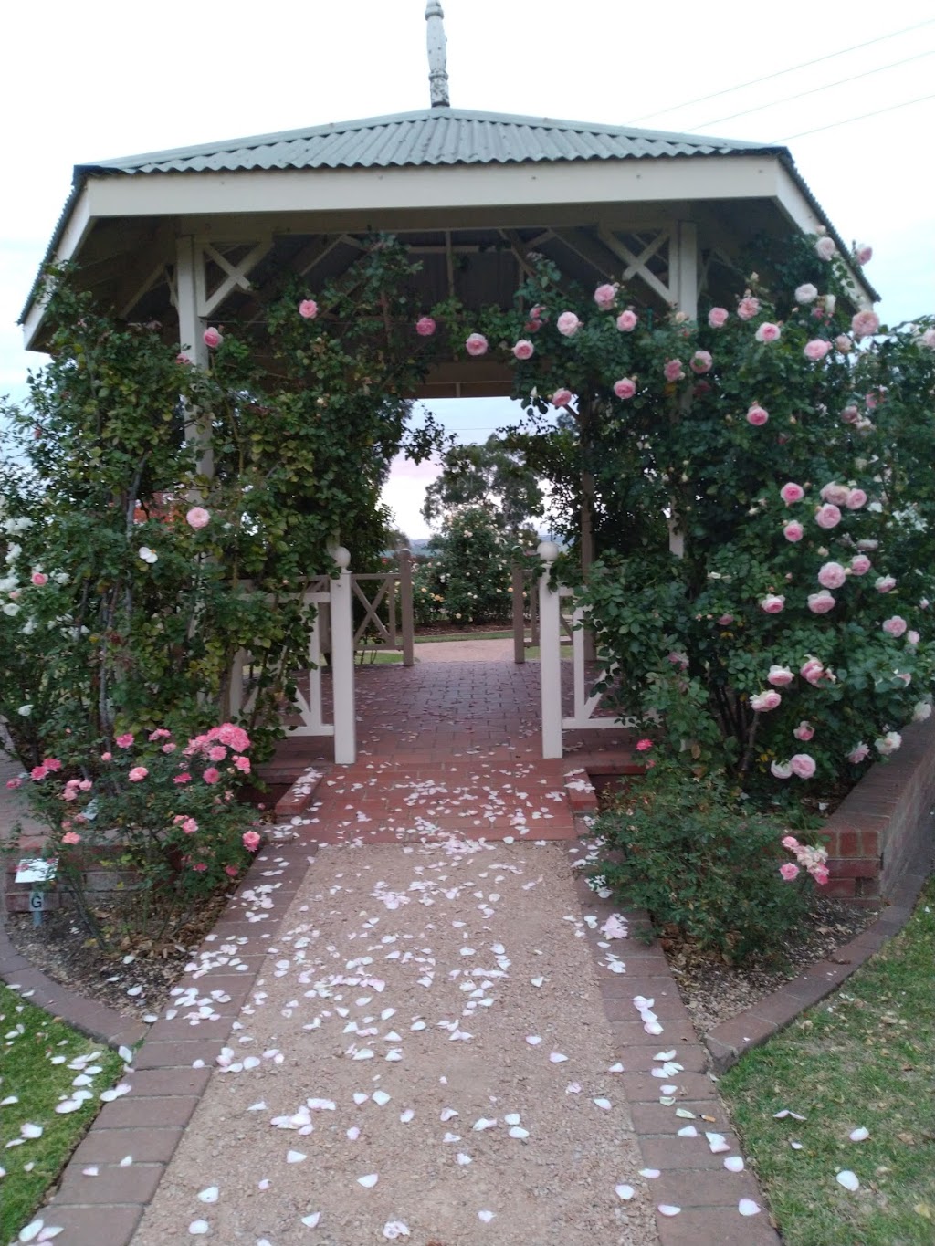 Morwell Centenary Rose Garden | park | 2 Avondale Rd, Morwell VIC 3840, Australia | 1800621409 OR +61 1800 621 409
