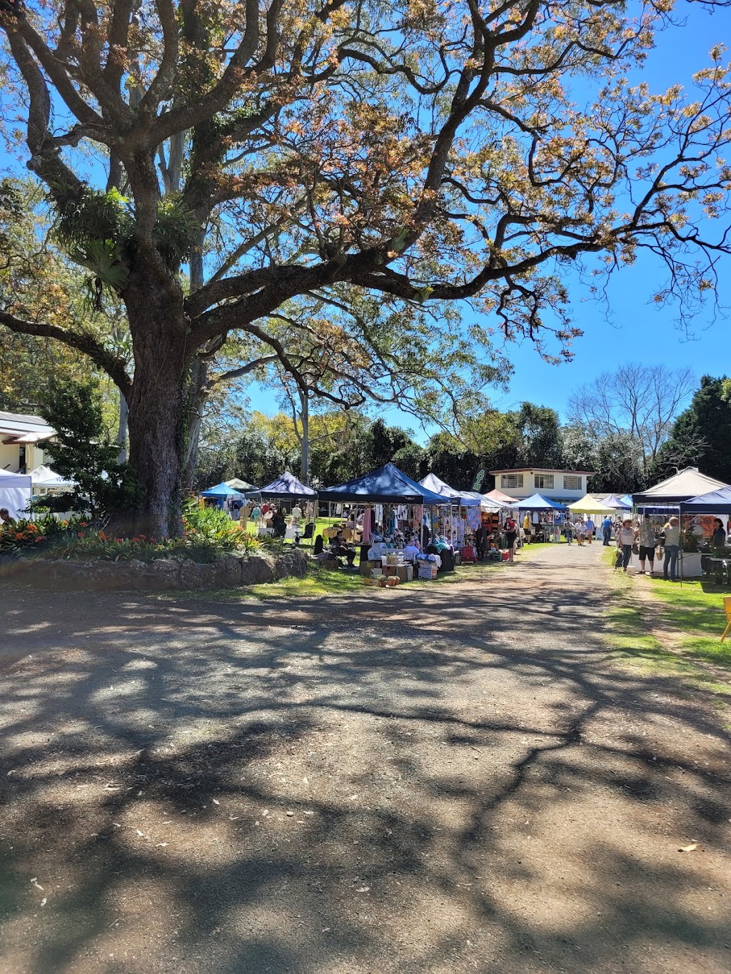 Tamborine Mountain Showgrounds | 386-398 Main Western Rd, Tamborine Mountain QLD 4272, Australia | Phone: 0412 981 045