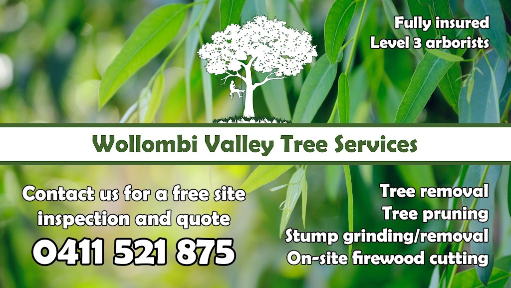 Wollombi Valley Tree Services | 4893 Great N Rd, Fernances Crossing NSW 2325, Australia | Phone: 0411 521 875