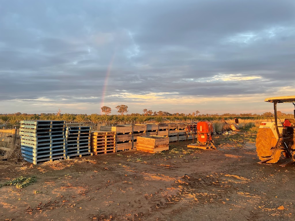 Tatura Farms | 1660 Pogue Rd, Tatura VIC 3616, Australia | Phone: 0490 078 930 Tatura Farms | 1660 Pogue Rd, Tatura VIC 3616, Australia | Phone: 0490 078 930