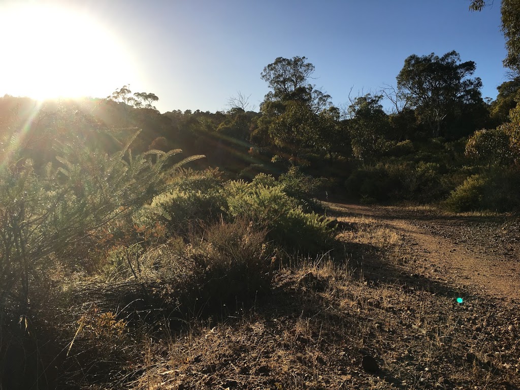 Gooseberry Hill walk trails | Gooseberry Hill Rd, Gooseberry Hill WA 6076, Australia