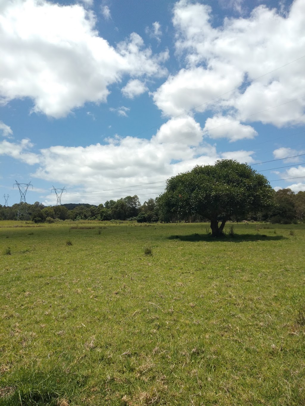 Hinterland Regional Park | 40 Hardys Rd, Mudgeeraba QLD 4213, Australia | Phone: (07) 5582 8211