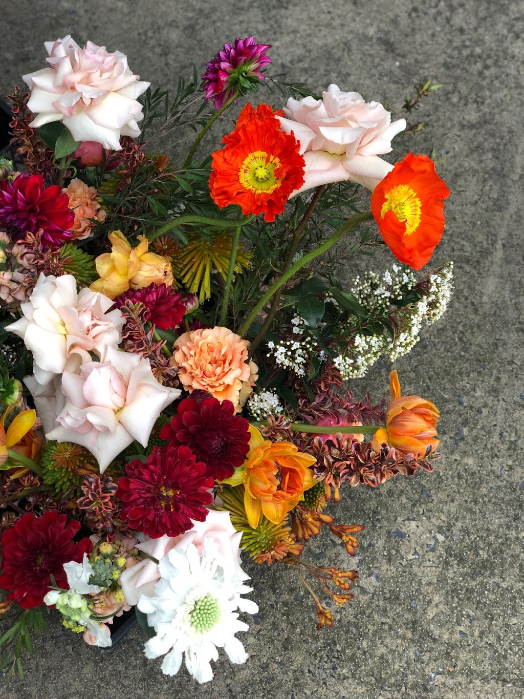 IVY AND EVE FLOWERS | florist | 3/323 Ingles St, Port Melbourne VIC 3207, Australia | 0396965469 OR +61 3 9696 5469