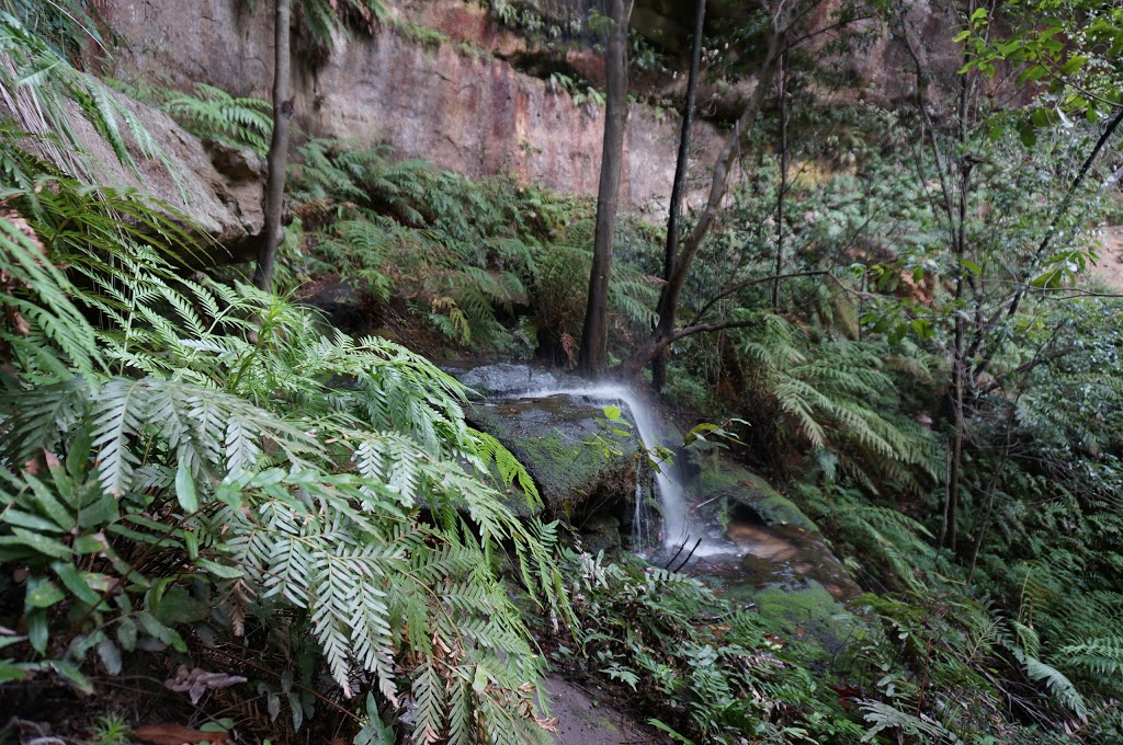 Mermaids Cave Recreation Reserve | park | Blackheath NSW 2785, Australia
