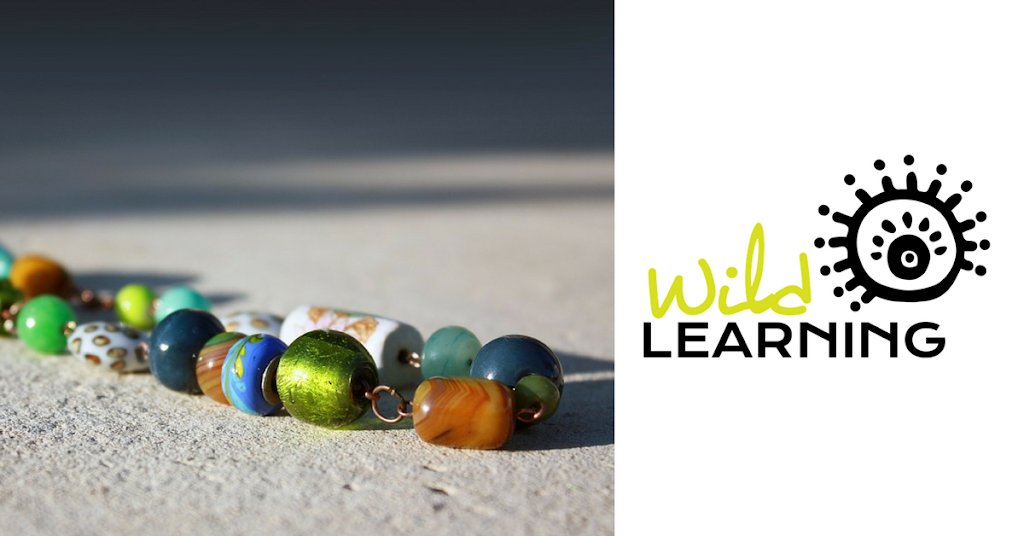 Wild Learning | 111 Wollombi Rd, Cessnock NSW 2325, Australia | Phone: 0412 835 865