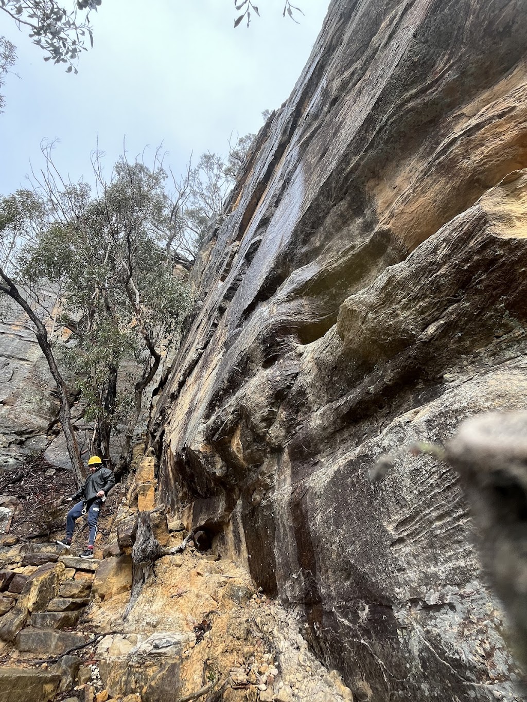 High and Wild | 207 Katoomba St, Katoomba NSW 2780, Australia | Phone: (02) 4782 6224