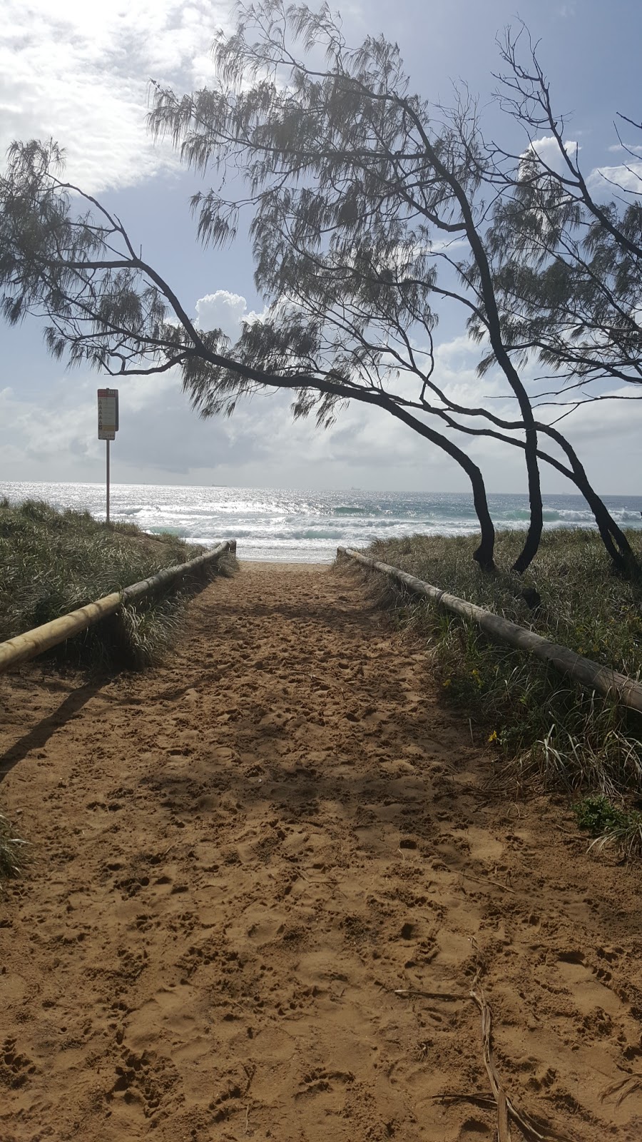 Dog Friendly Beach access 226-247 | park | 37 Oceanic Dr, Warana QLD 4575, Australia