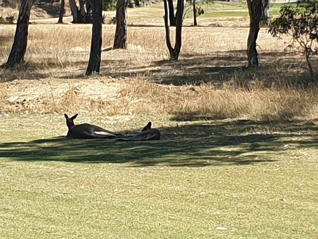 Mount Pleasant & District Golf Club | 45 Golf Course Road, Mount Pleasant-Keyneton Road, Mount Pleasant SA 5235, Australia | Phone: (08) 8568 2652