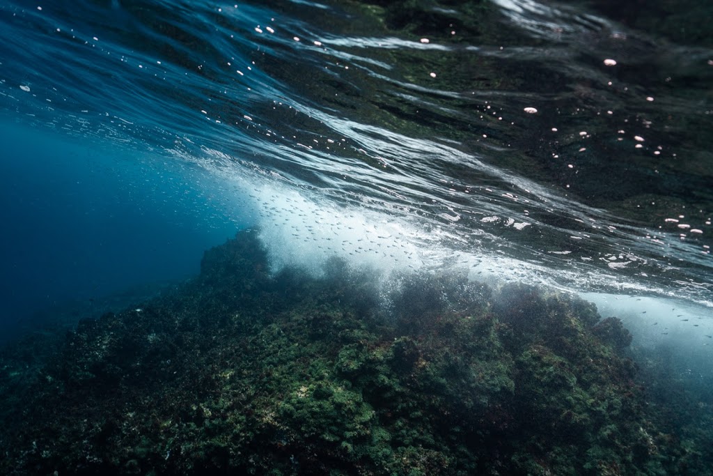 Skyla Sage Photography | Cabarita Beach, Bogangar, NSW 2488, Australia | Phone: 0418 778 373