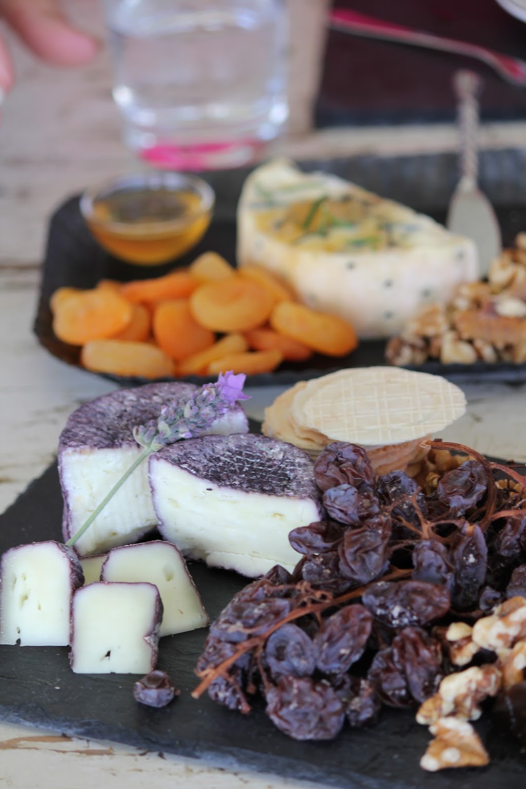 Towri Farm Cheese Workshops | 206 Saville Rd, Allenview QLD 4285, Australia | Phone: 0413 430 471