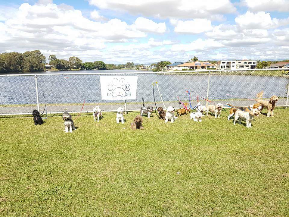 Scenic Dog Park | Benowa QLD 4217, Australia