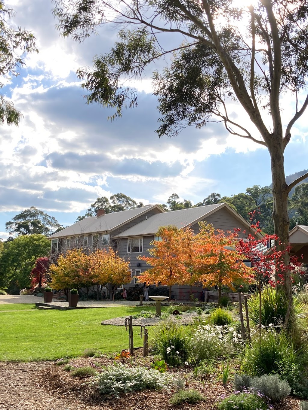 Viewfield Garden | park | 651 Mount Macedon Rd, Mount Macedon VIC 3441, Australia | 0412180388 OR +61 412 180 388