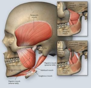 Melbourne TMJ & Facial Pain Centre | Room 2/1199 High St, Armadale VIC 3143, Australia | Phone: (03) 9824 8868