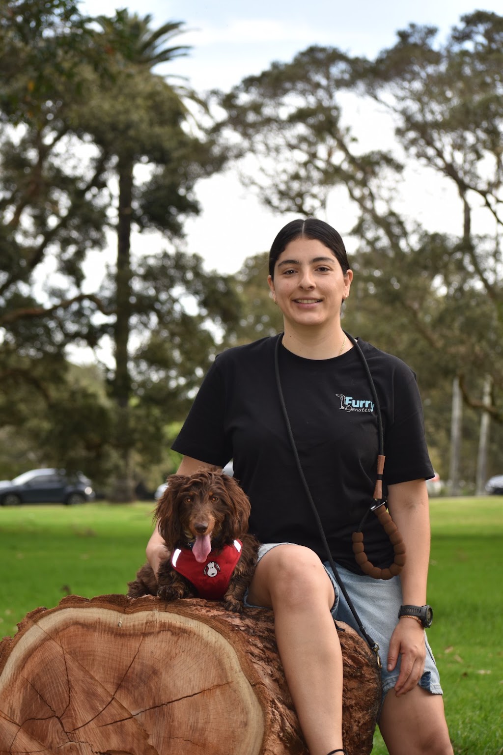 Furry Mates | 9/10 Elonera St, Rydalmere NSW 2116, Australia | Phone: 0470 696 257