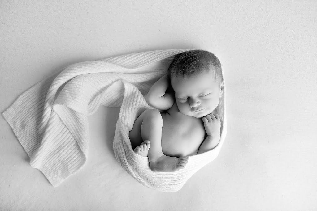 Zen Life Photography | 40 Carolyn St, Adamstown Heights NSW 2289, Australia | Phone: 0401 313 137