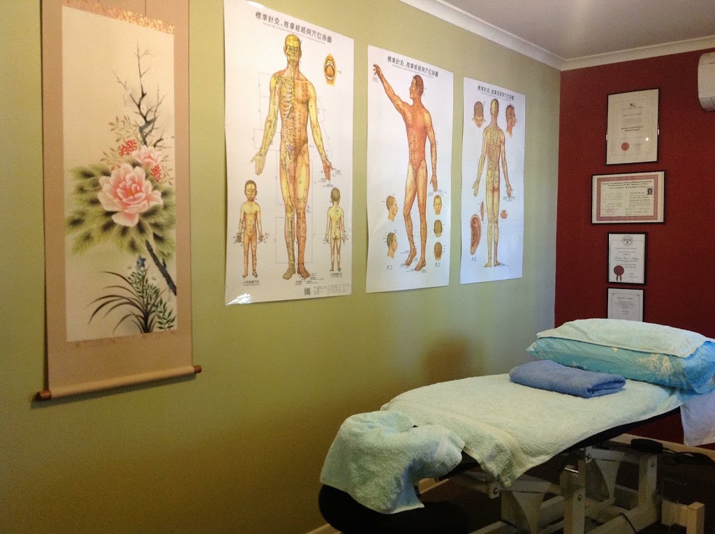 Austin Therapies - Acupuncture, Chinese Herbal Medicine & Remedi | store | 314 London Rd, Belmont QLD 4153, Australia | 0733488131 OR +61 7 3348 8131