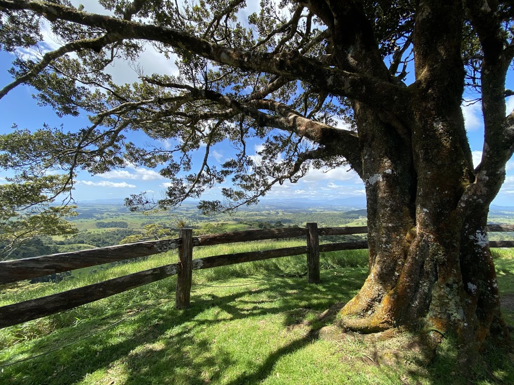 Millaa Millaa Lookout | E Evelyn Rd, Millaa Millaa QLD 4886, Australia | Phone: 1300 366 361