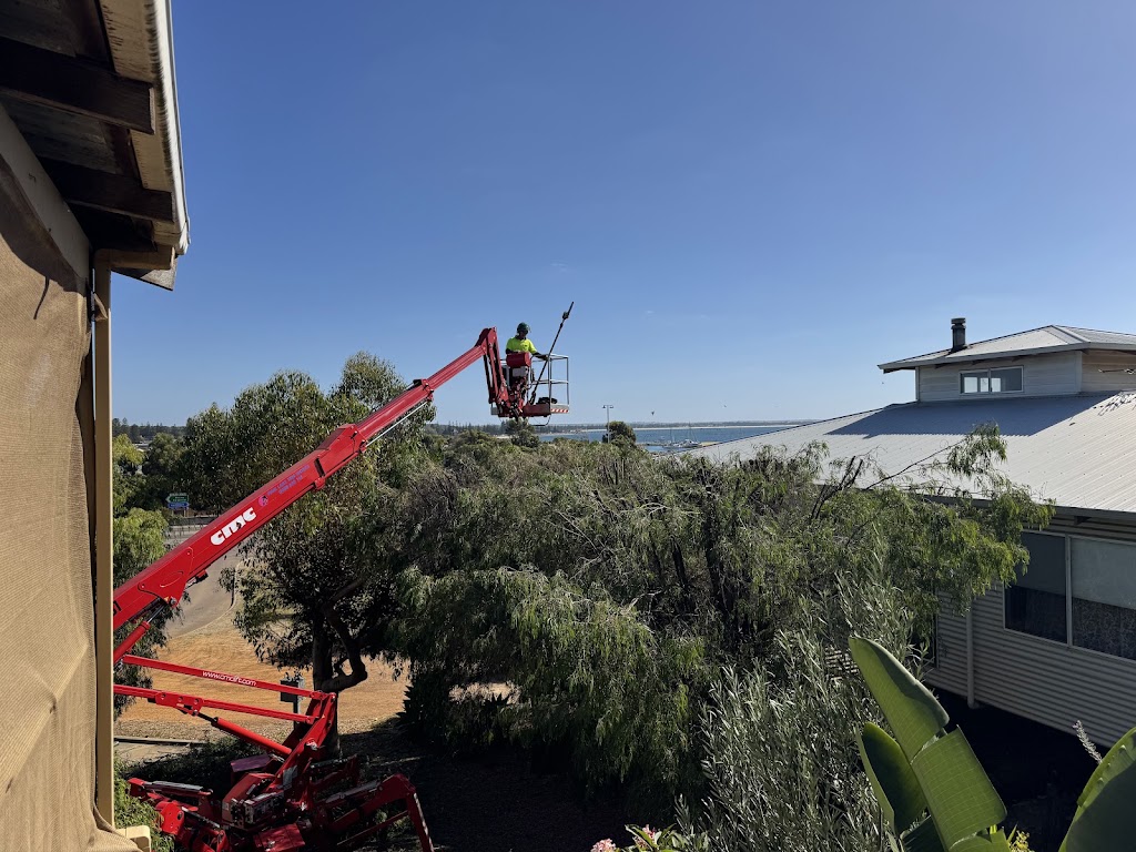 Pink Lake Tree Works | 804 Eleven Mile Beach Rd, Pink Lake WA 6450, Australia | Phone: 0400 660 141