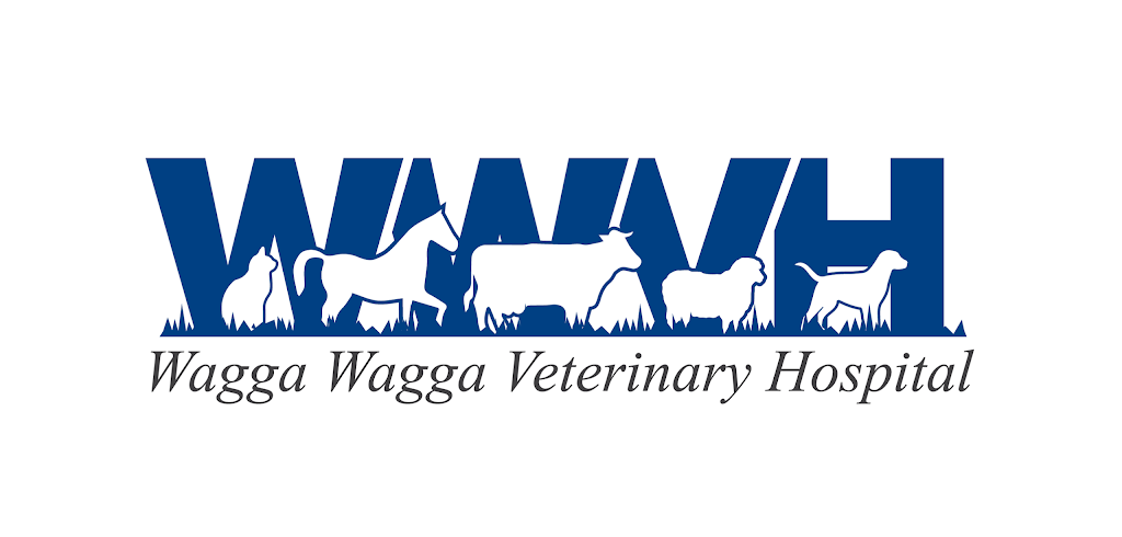 Wagga Wagga Veterinary Hospital | veterinary care | 132 Urana St, Turvey Park NSW 2650, Australia | 0269260900 OR +61 2 6926 0900