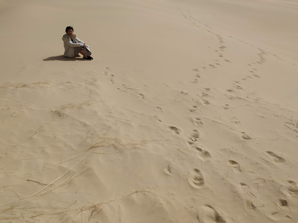Peron Dunes | park | Akaroa TAS 7216, Australia