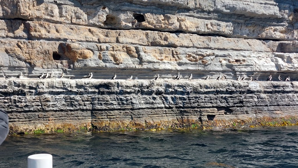 Cape Raoul Cruises | Port Arthur Historic Site, Jetty Rd, Port Arthur TAS 7182, Australia | Phone: (03) 6234 4270