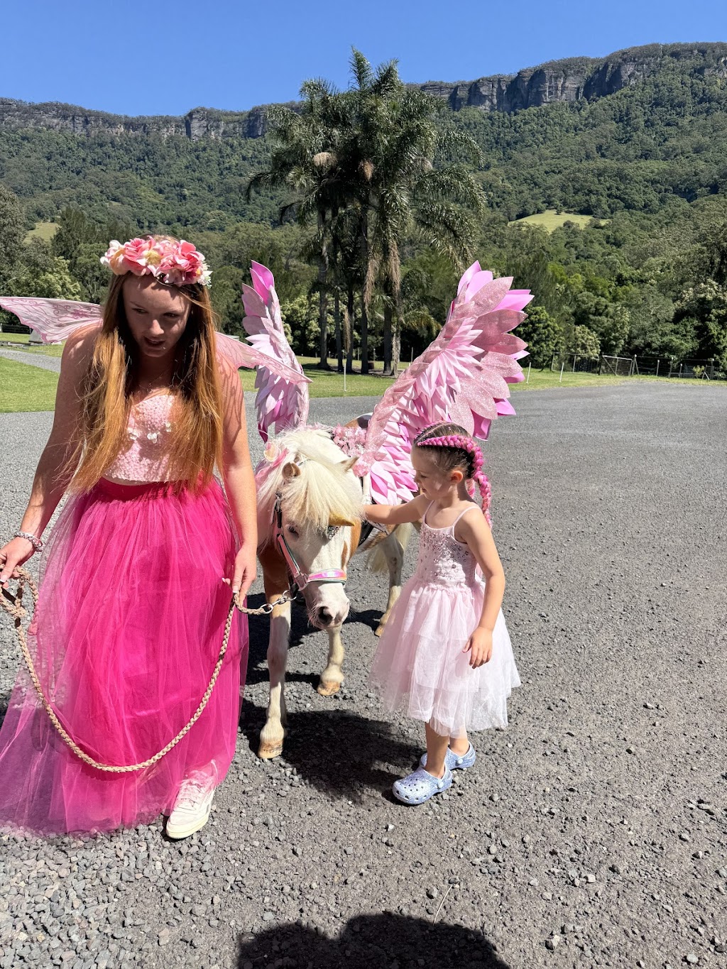 Adorable Pony Parties | 682 Calderwood Rd, Calderwood NSW 2527, Australia | Phone: 0490 371 709
