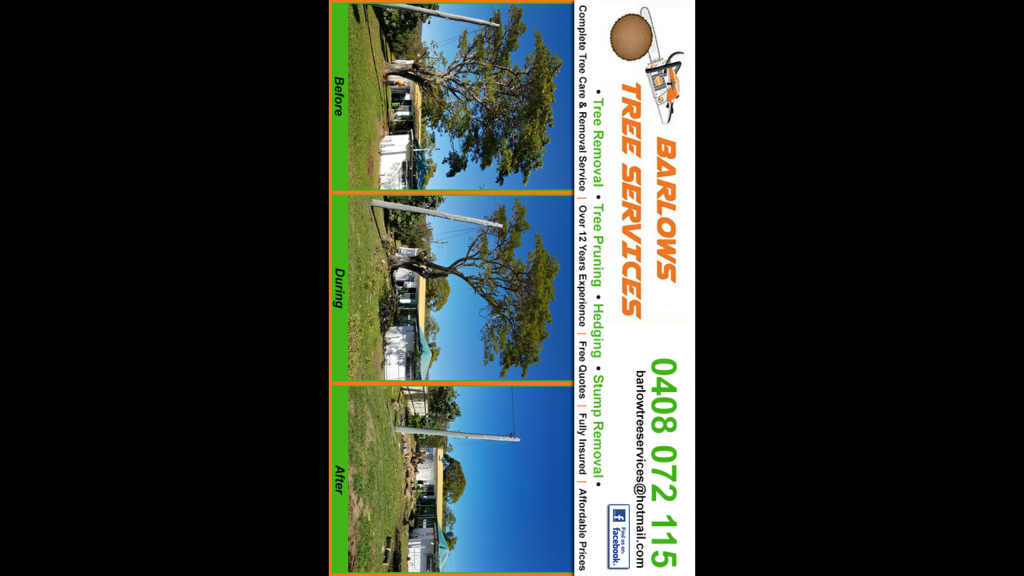 Barlows Tree Service | 1 Berserker St, Rockhampton QLD 4701, Australia | Phone: 0408 072 115