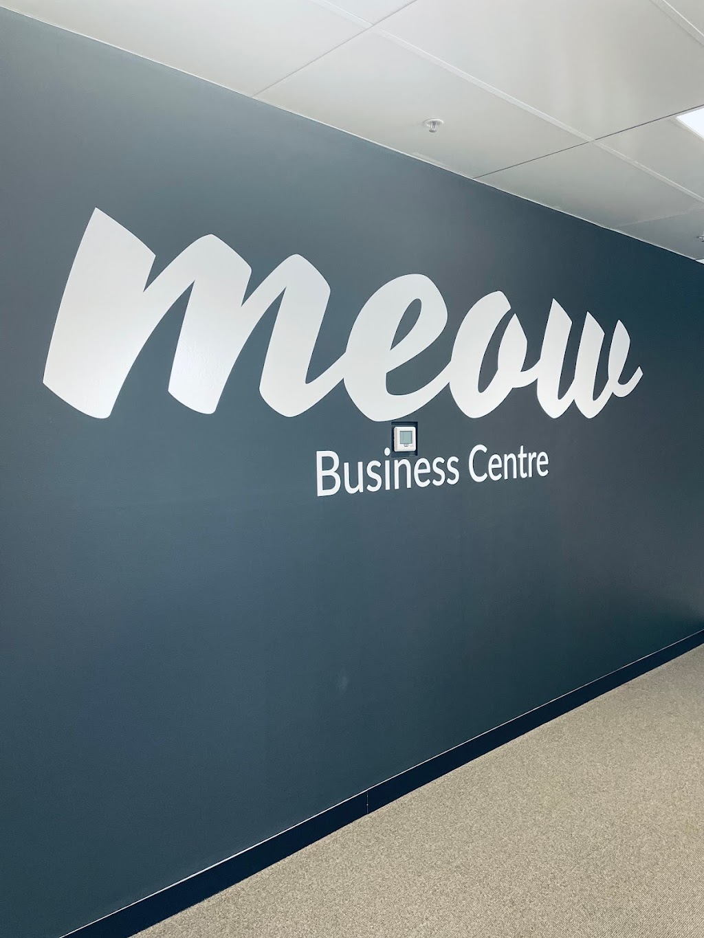 Meow Co Working Office Space And Business Centre | Shop 24B Somerville Central Shopping Centre, 49 Eramosa Rd W, Somerville VIC 3912, Australia | Phone: (03) 8899 6363