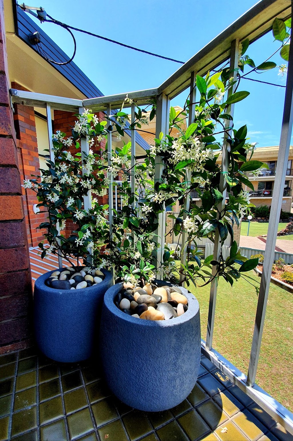 Bribie Garden Centre |  | 50 Verdoni St, Bellara QLD 4507, Australia | 0435007751 OR +61 435 007 751