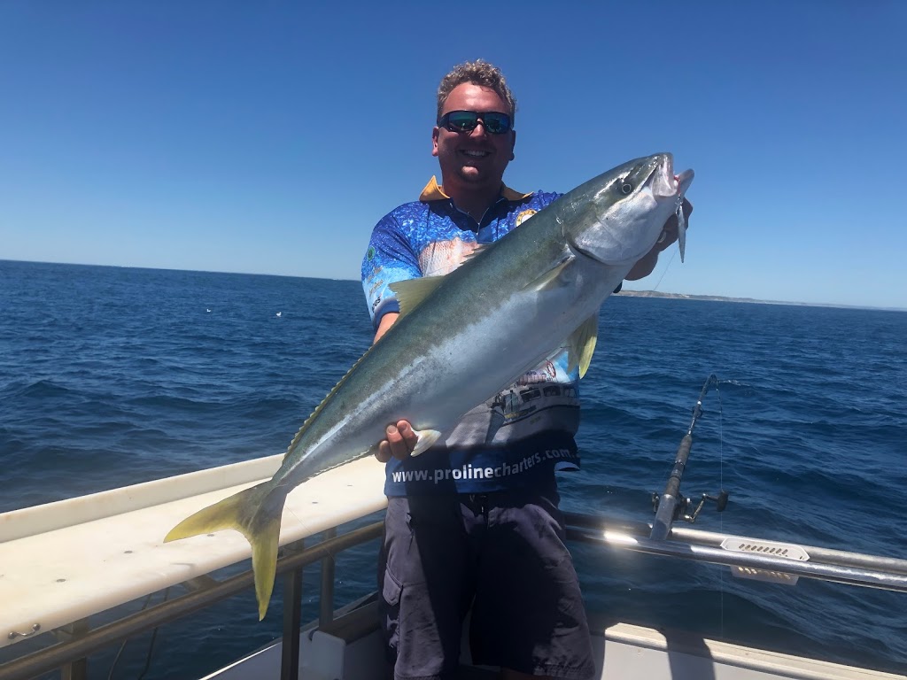 Proline Fishing Charters | Berth 1 Sorrento pier, Sorrento VIC 3943, Australia | Phone: 0429 846 279