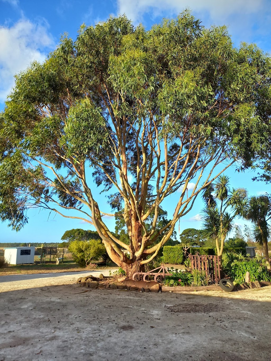 JK Tree Service |  | 7 N Nelson Rd, Nelson VIC 3292, Australia | 0417873266 OR +61 417 873 266