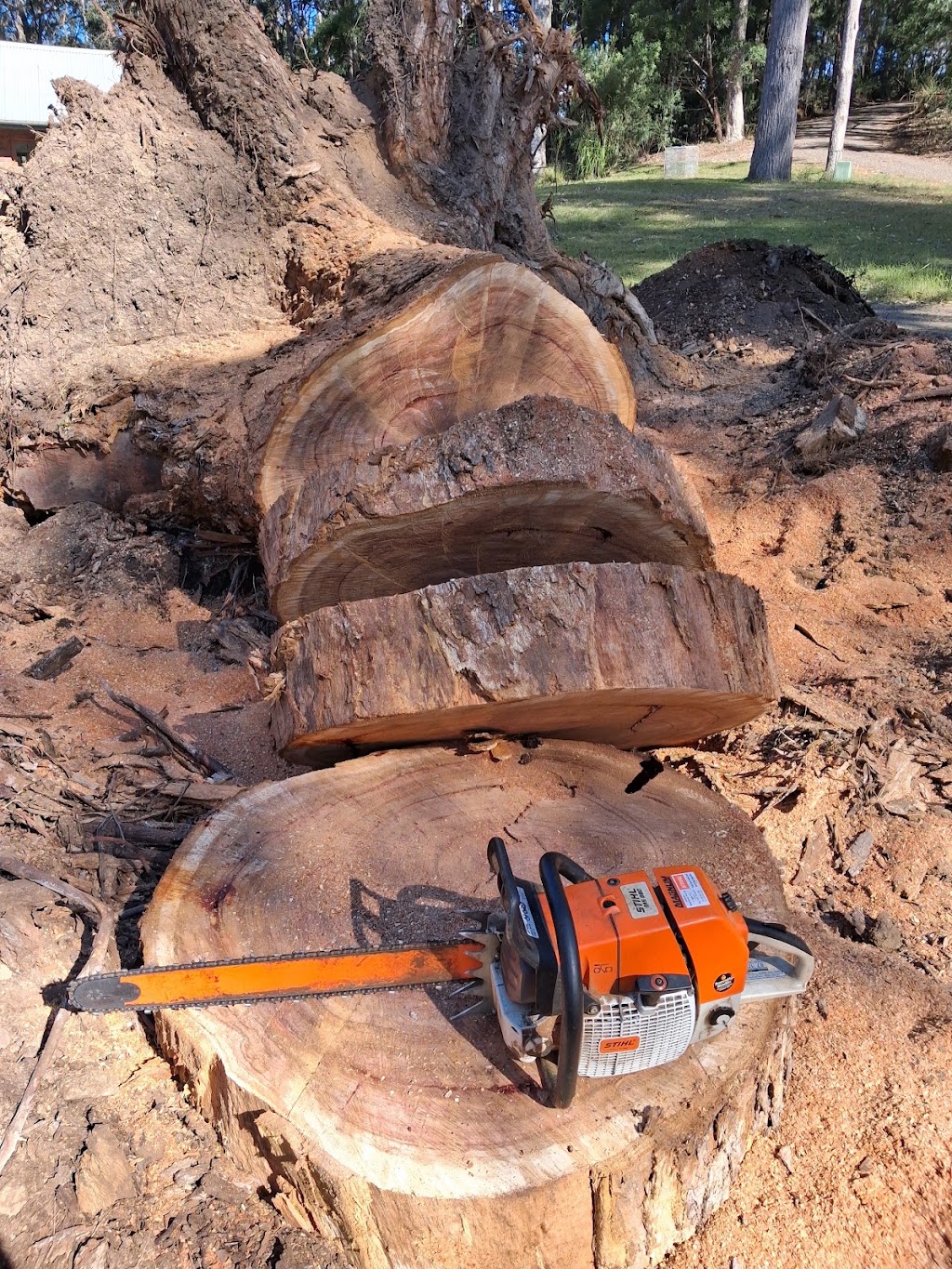 LEEVIS TREE AND YARD SERVICES | 766 Wagonga Scenic Dr, Narooma NSW 2546, Australia | Phone: 0474 755 173