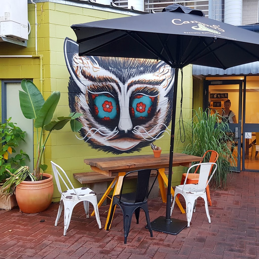 Alley Cats | cafe | 14/69 Mitchell St, Darwin City NT 0800, Australia | 0879788679 OR +61 8 7978 8679
